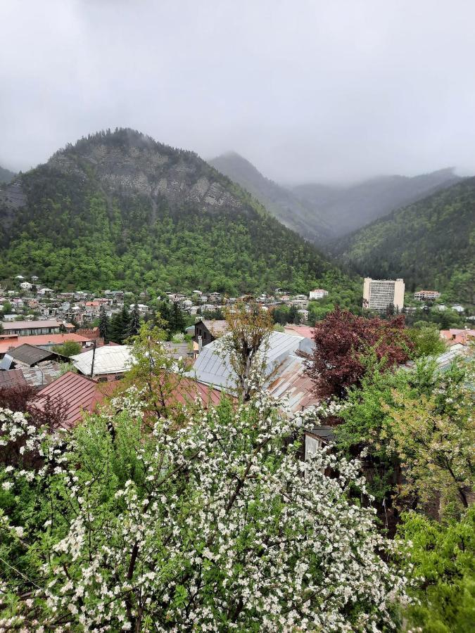 Guest House Bochora Borjomi Exteriör bild