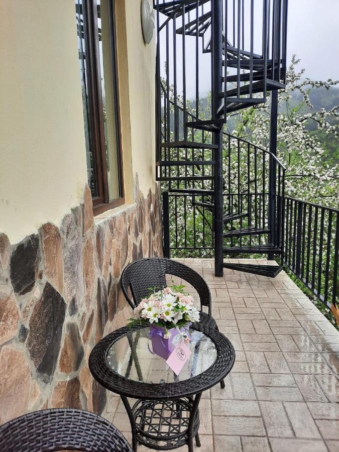 Guest House Bochora Borjomi Exteriör bild