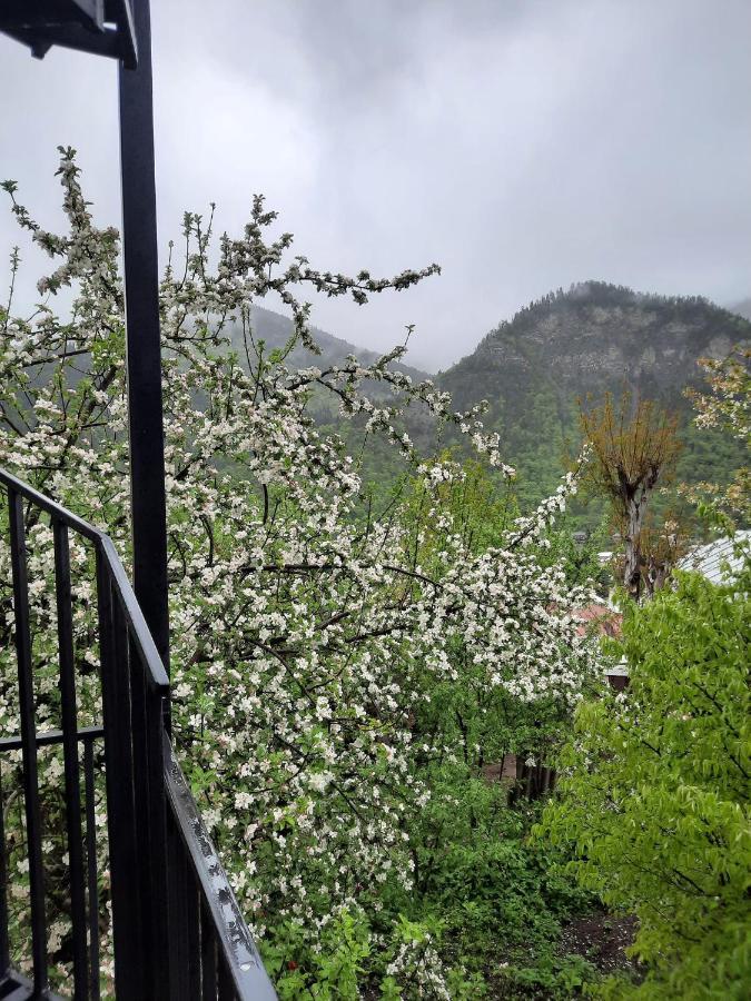 Guest House Bochora Borjomi Exteriör bild